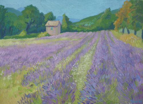 Lavendel
