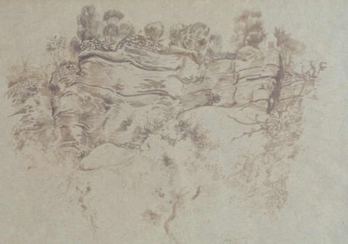 Duintje